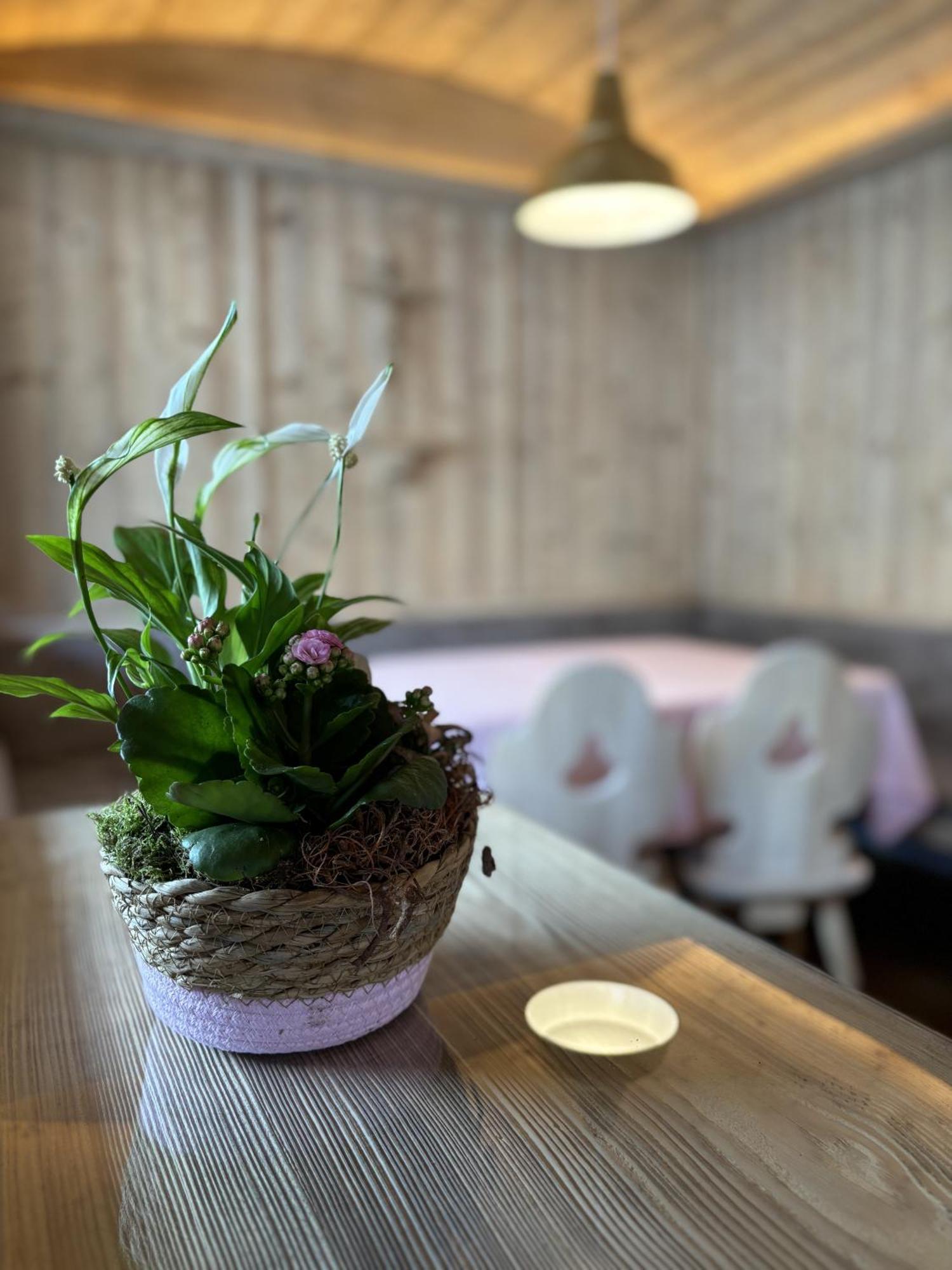 Appartement Rosa Sankt Johann in Tirol Phòng bức ảnh