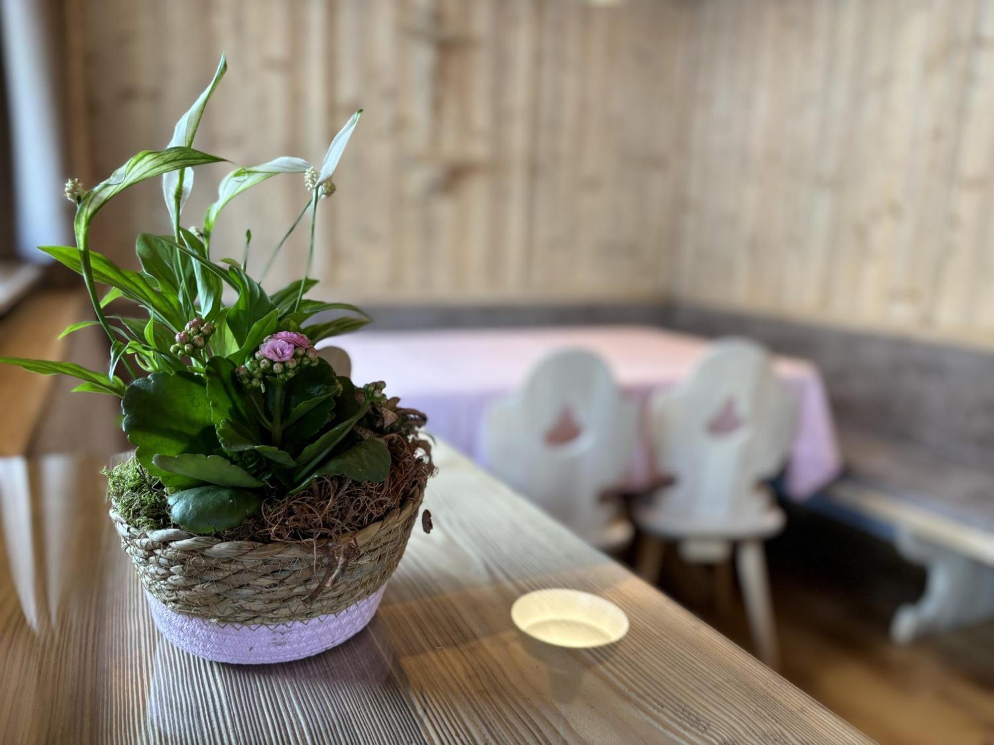 Appartement Rosa Sankt Johann in Tirol Phòng bức ảnh