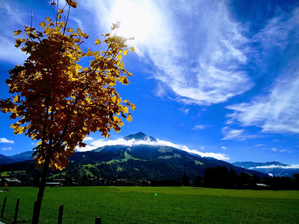 Appartement Rosa Sankt Johann in Tirol Ngoại thất bức ảnh